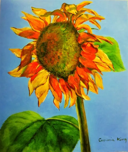 金康麗 Connie King 俄羅斯向日葵 Russia's sunflower