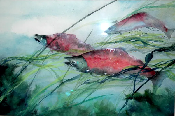 陳瀚林01 salmon