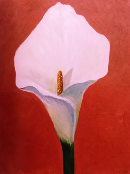 蔡麗莉海芋花 Calla Lily