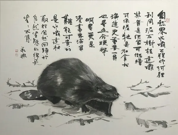 印象加拿大-河貍